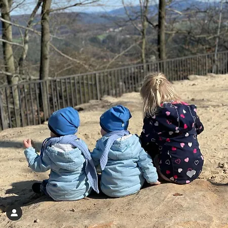 Elbpension & Ferienwohnung Saechsische Schweiz 3*